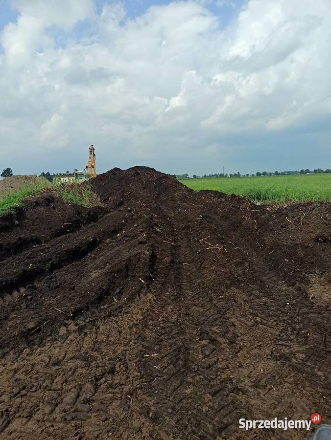 Sprzedam ziemię na działkę czarnoziem Lucynowo sprzedam