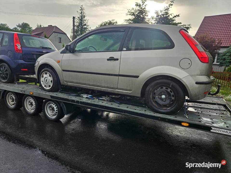 Fiesta części wielkopolskie Tarnowo Podgórne
