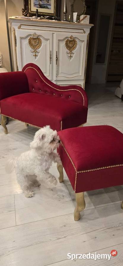 Szezląg i pufa Opole sprzedam