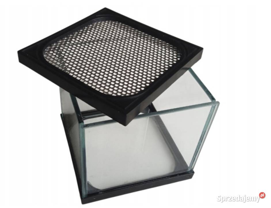 TRANSGLASS TERRARIUM 12X115X115 PRODUCENT
