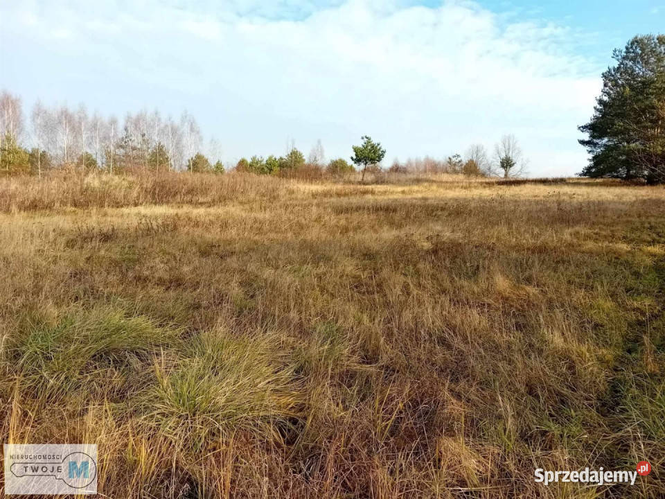 Działka Daleszyce 17841m2 902m sprzedam