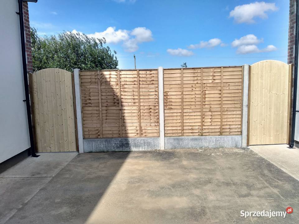 Drzwi Drewniane do Budynków Gospodarczych Pozostałe Ząbrowo