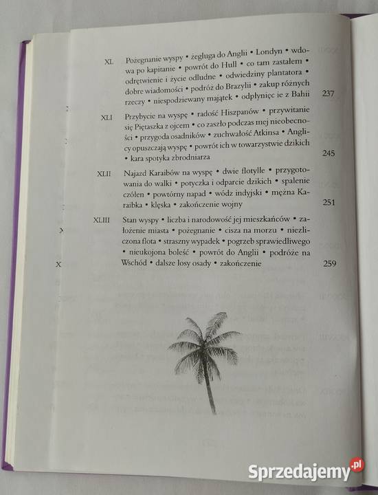 PRZYPADKI ROBINSONA CRUSOE Daniel Defoe Hajnówka