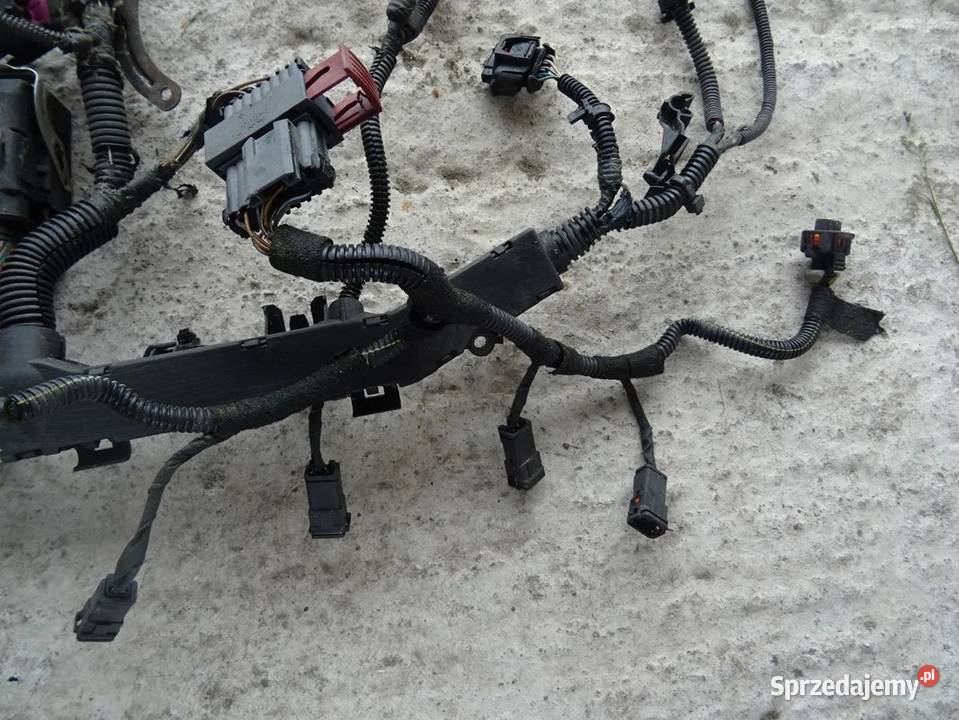 Wiązka elektryczna wtryski silnik kable przewody Materiały instalacyjne Materiały instalacyjne Parcice