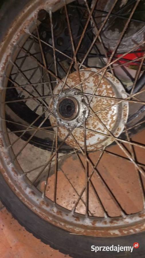 JAWA PERAK KOLO Wawelno