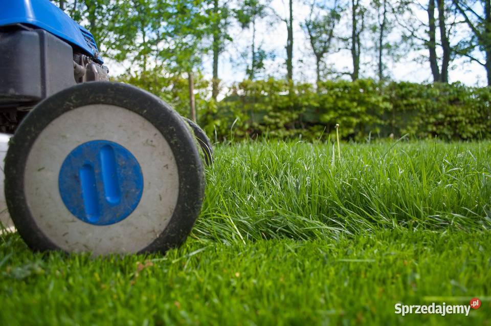 Usługi ogrodnicze i brukarskie Kościan