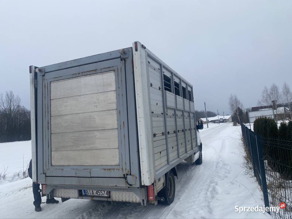 Mercedes sprinter do przewozu bydła z wagą podlaskie Sawino sprzedam