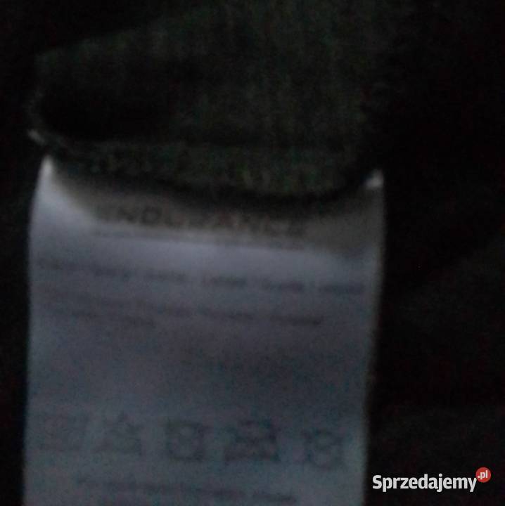 Koszulka męska Endurance kolorowy Wielkie