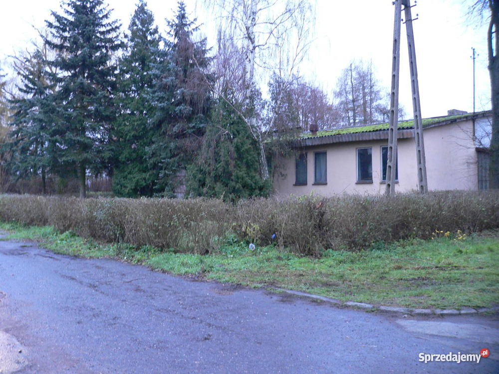 Dom na wsi Robczysko asfalt Robczysko sprzedam