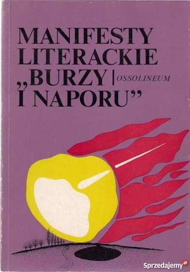 MANIFESTY LITERACKIE BURZY I NAPORU Książki i Podręczniki Białystok