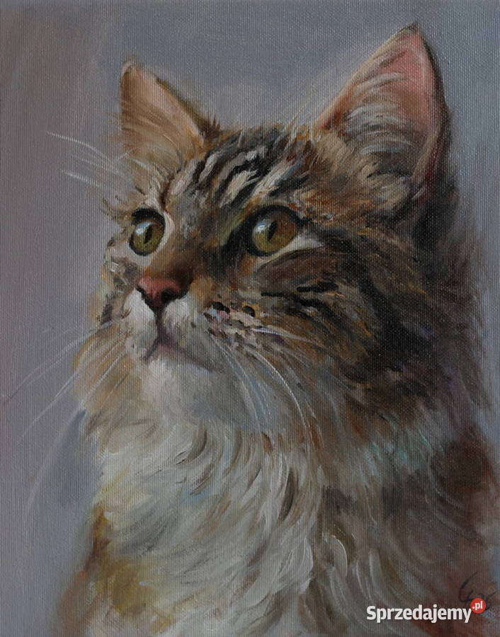 Obraz olejny Kot 24x30 Strzyżów sprzedam