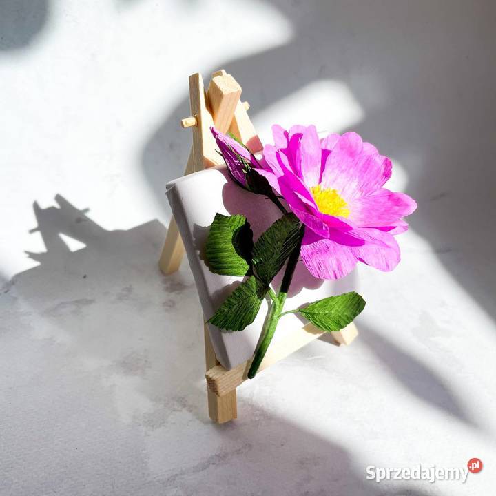 Kwiatek na sztaludze lubuskie Zielona Góra