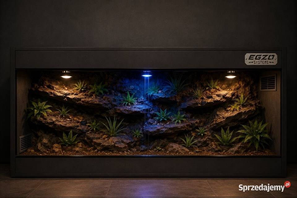 Terrarium agamy brodatej żółwia greckiego gekona Kutno