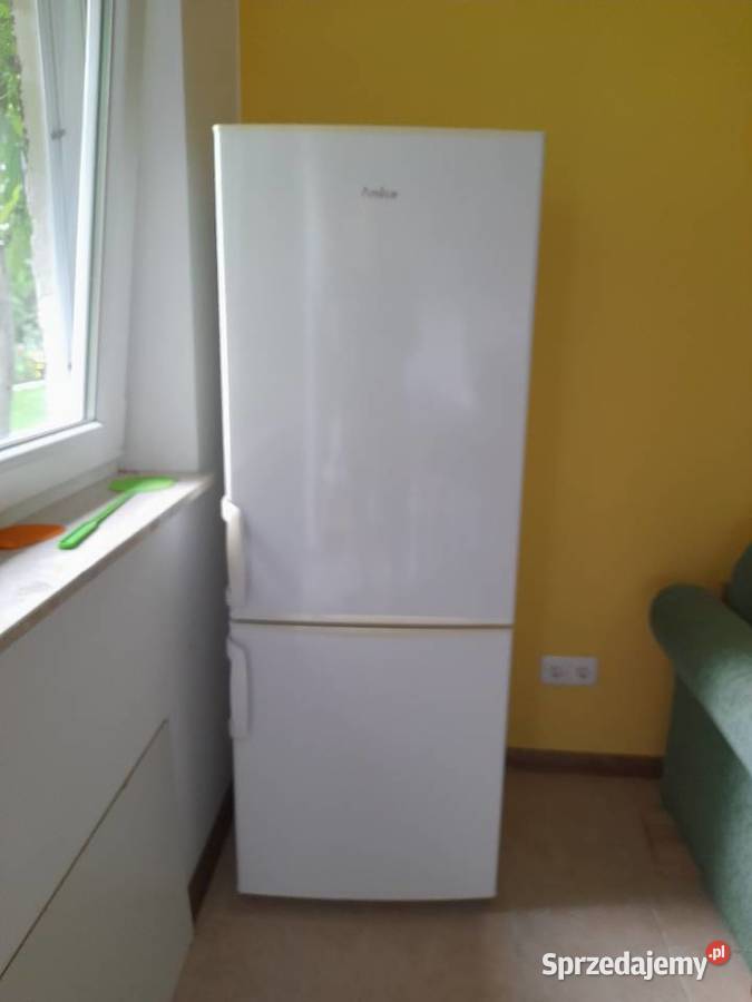 Lodówka Amica FK 2393KGC 15417 W 1500cm Ogrodniki