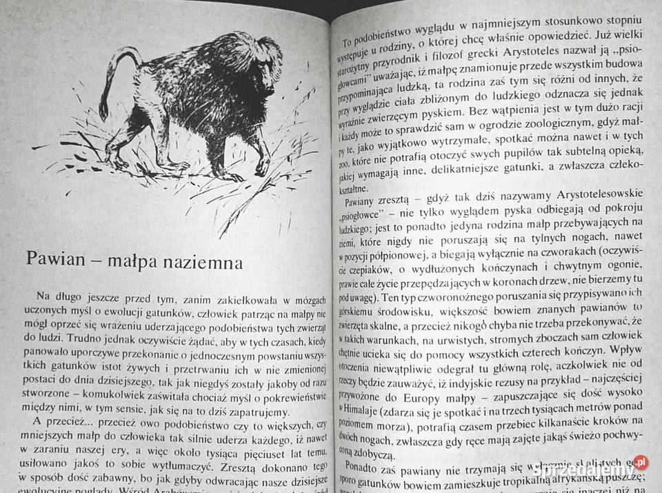 Hipopotam i spółka Jan Żabiński Chełm