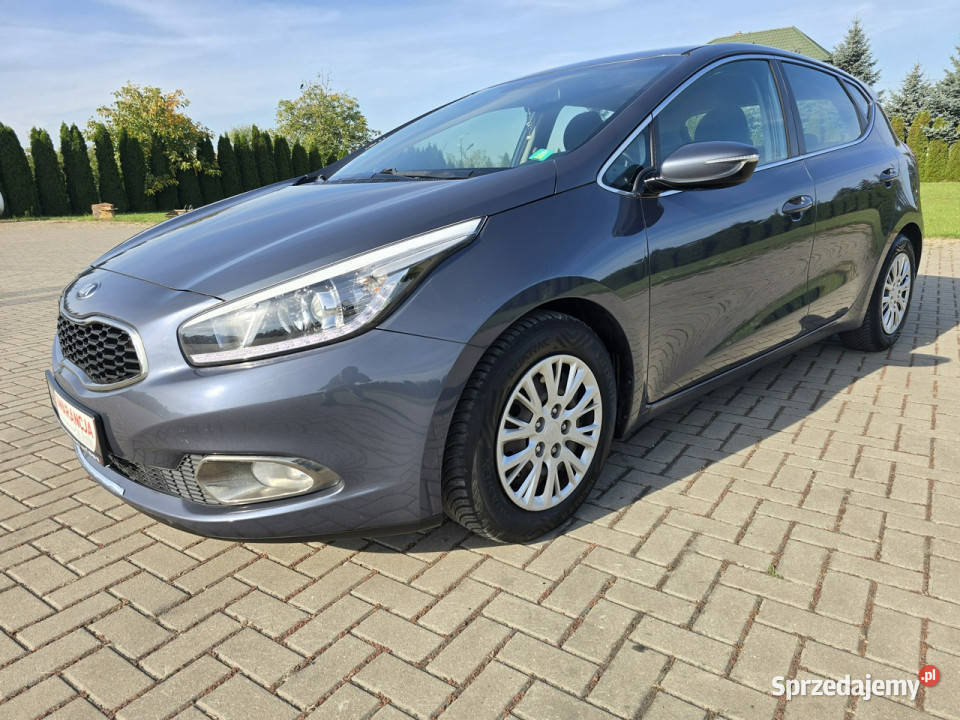 Kia Ceed 16Benzyna serwisowany w ASO Kia