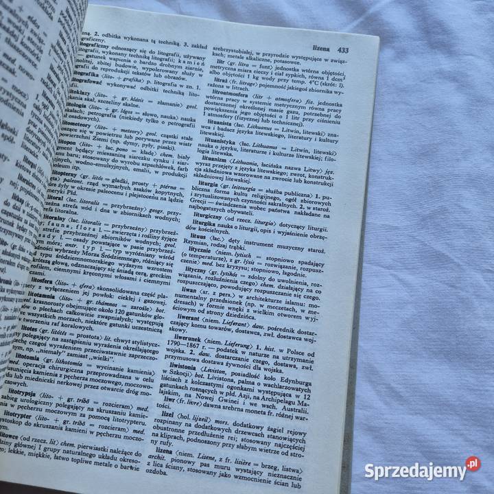 Słownik wyrazów obcych PWN Książki i Podręczniki Brzesko