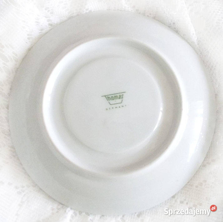 filiżanka z żółwiem żółw filiżanka zwierzęta zachodniopomorskie Szczecin