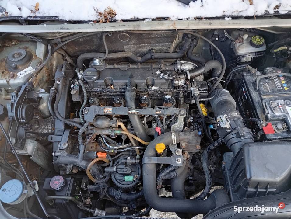 Citroen berlingo 1997cm3 Rybnik