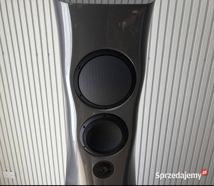 Estelon Forza Grodzisk Wielkopolski