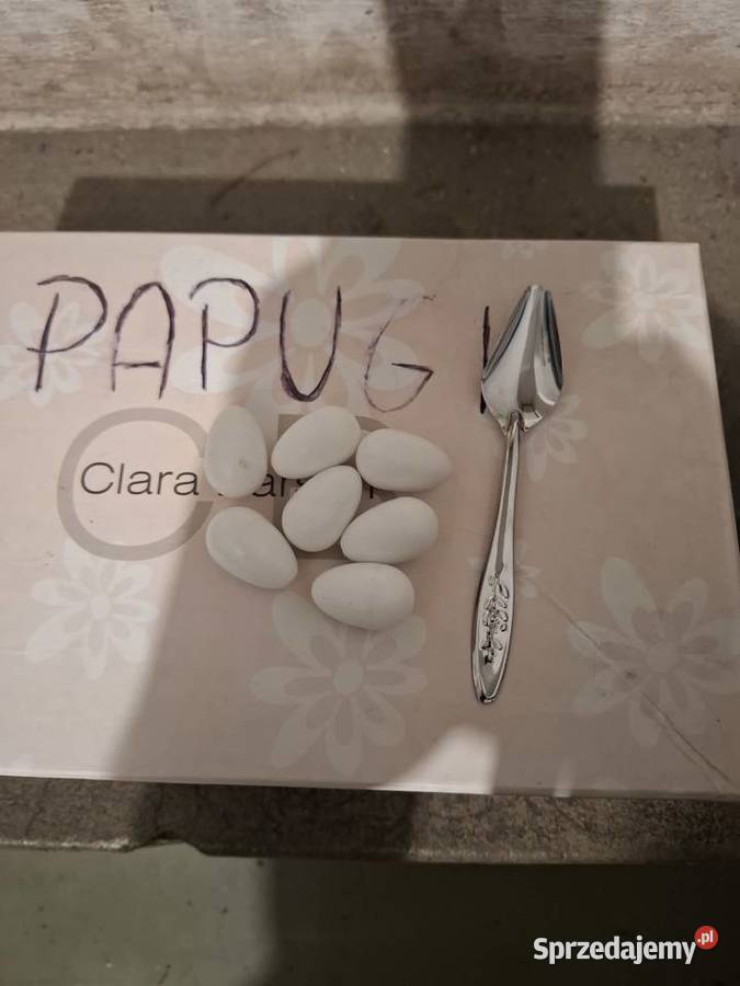 Akcesoria do papug budki karmidła witaminy Czyżowice