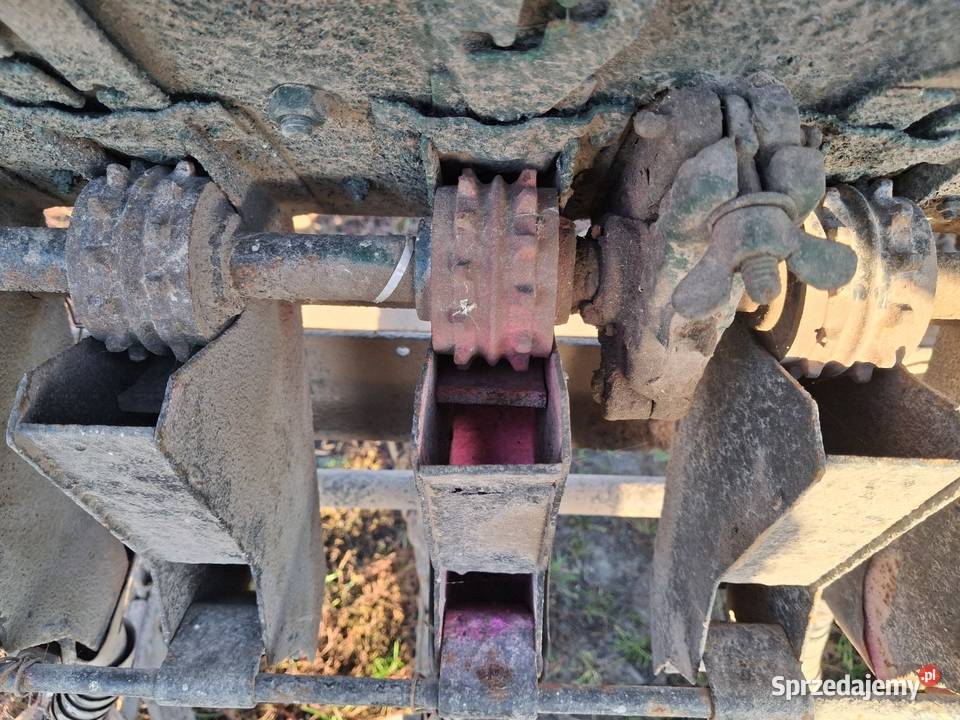 Siewnik do cebuli saxonia nieuszkodzony Daszyna