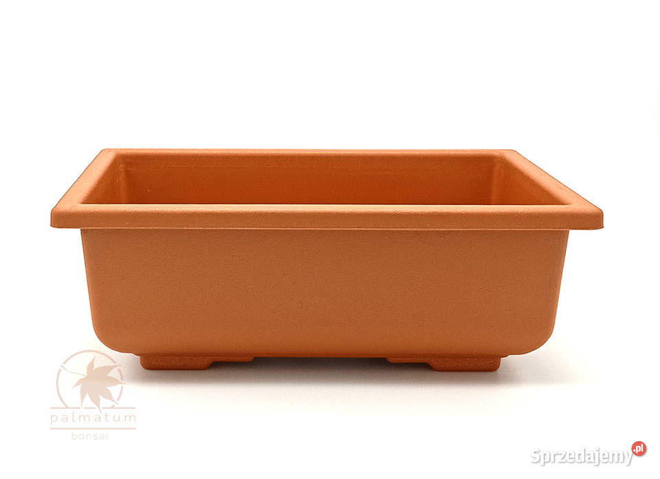 Doniczka bonsai zestaw 5 sztuk donica plastikowa Myszków