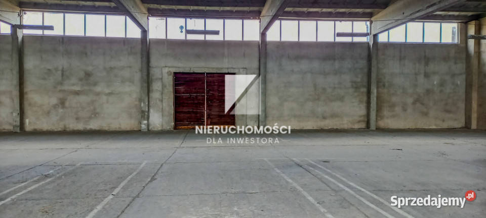 Hala magazynowa 810 m S3 4 bramy rampa Gorzów Wielkopolski