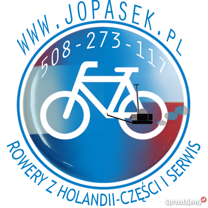 Naprawa rowerów z silnikiem spalinowym Sachs