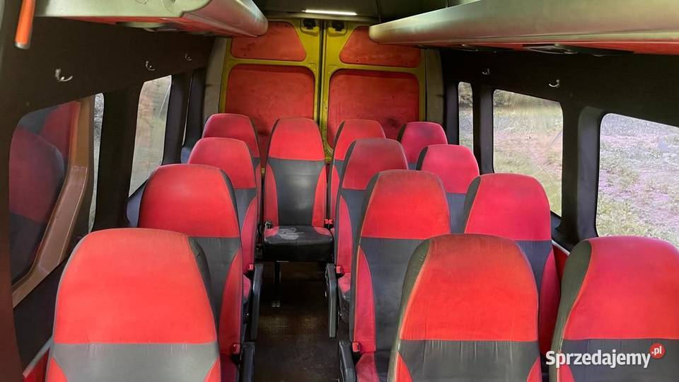 Syndyk sprzed autobus