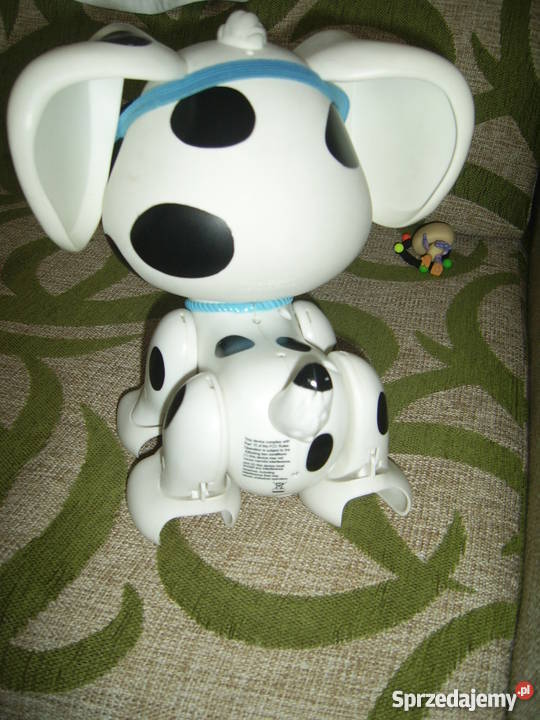 Płyń do mnie piesku Epee Plastik  Sochaczew