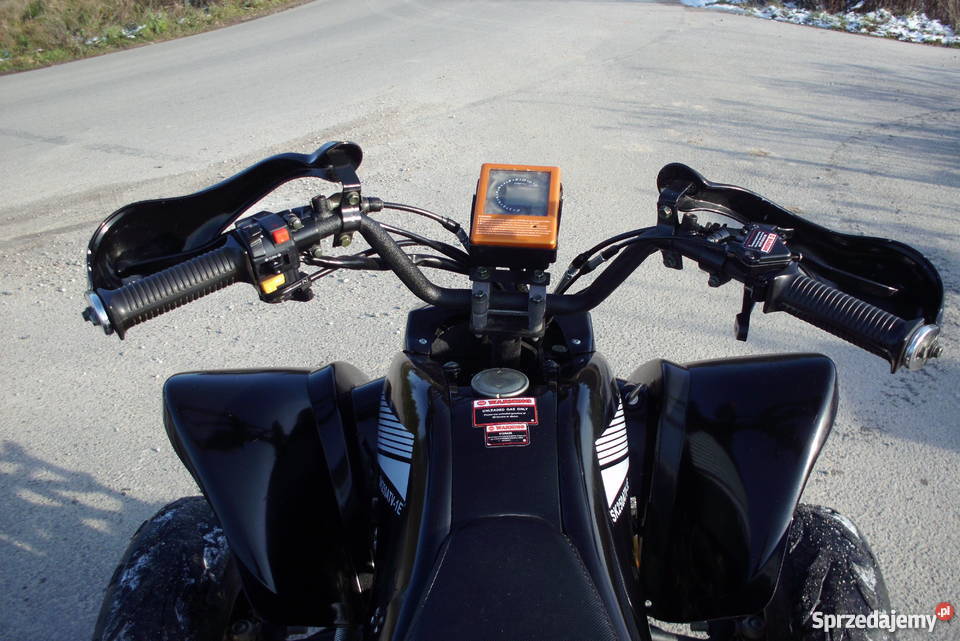 Quad Shenke 250 Bashan Shineray Zarejestrowany Motoryzacja Skowieszynek