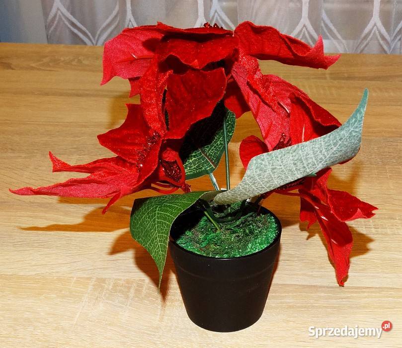 Ozdoba świąteczna sztuczny kwiat w doniczce Gliwice