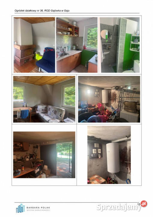 Syndyk sprzeda przeniesienie ogółu praw i Gaj