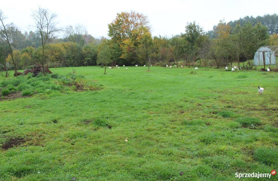 Działka Szczecin Płonia budowlana 1924 m2 Szczecin sprzedam