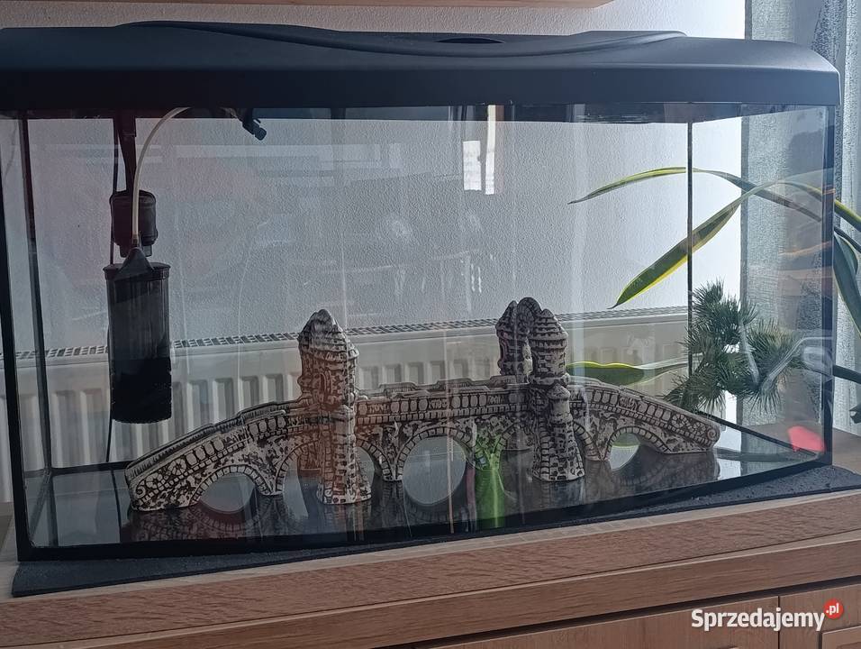 Akwarium 110 litrów Jodłówka-Wałki