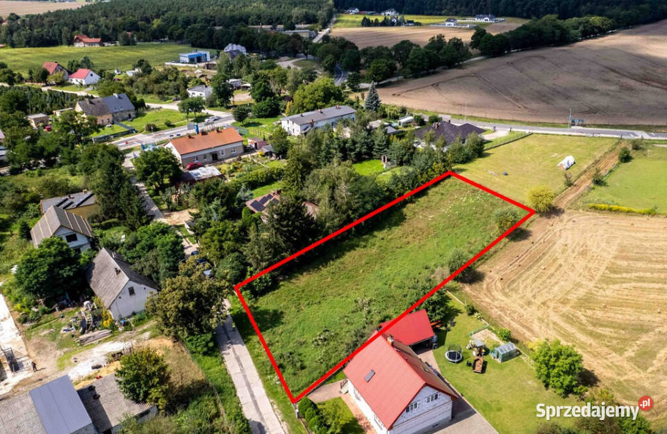 Duża działka Puszczy Zielonce Annowo