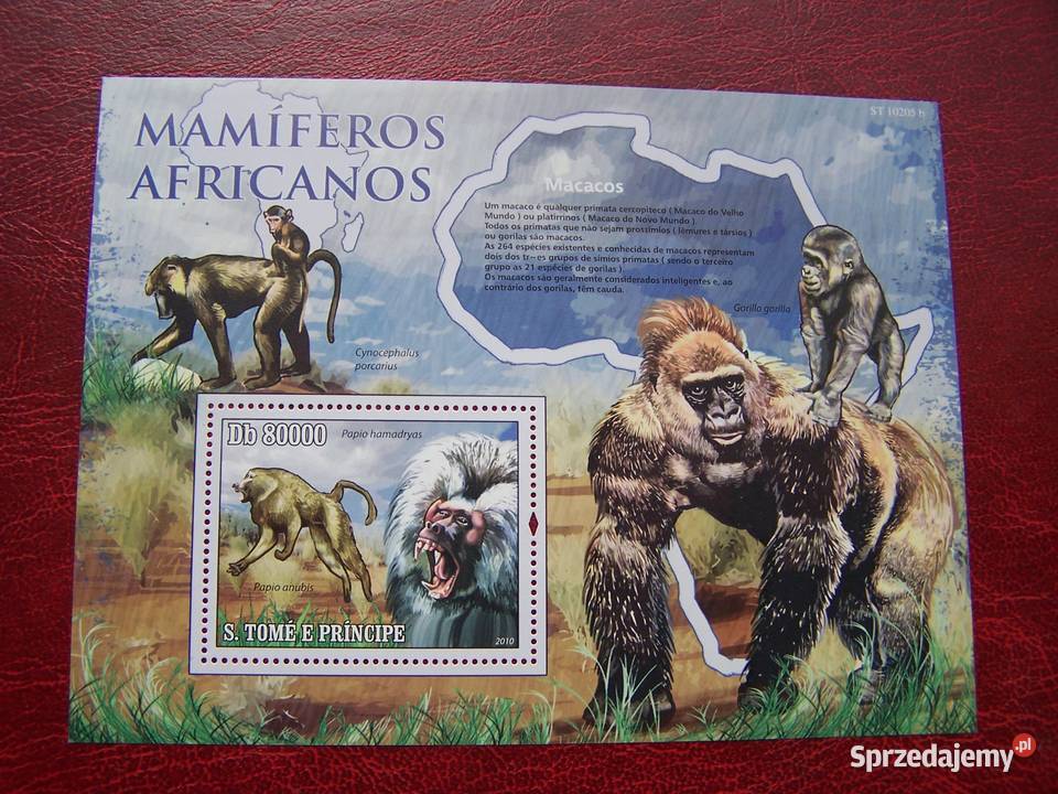 Wyspy Św Tomasza 2010 MNH Zwierzęta Fauna Goryle Tychy