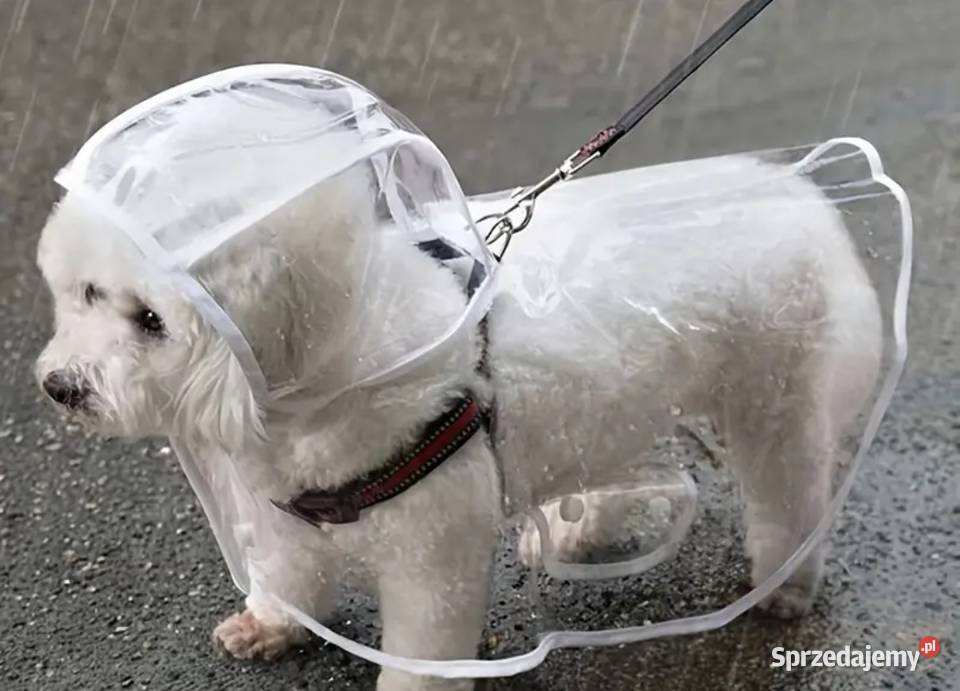 Wodoodporny przezroczysty płaszcz Bełchatów