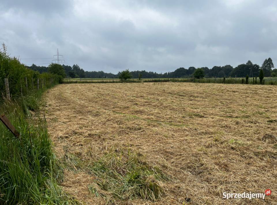 Działka 12 arów 1200 m 24 ary 2400 m Poręba 124zł/m2 Poręba Żegoty