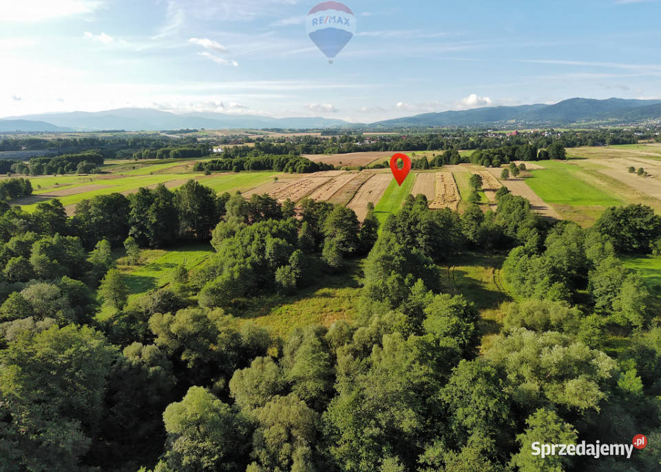 Działka rolna natury rolna Sprzedaż Rybarzowice