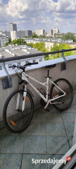 Rower Wheeler Pro 500 Warszawa