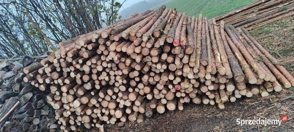 Stemple budowlane kołki do ogrodzeń tymczasowych Szczyty