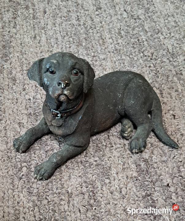 Figurka Pies czarny labrador Leonardo Collection podlaskie Suwałki