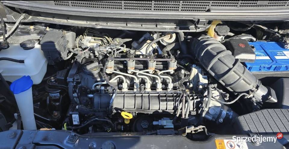 Kia Carens 17 CRDi Vision Mrągowo