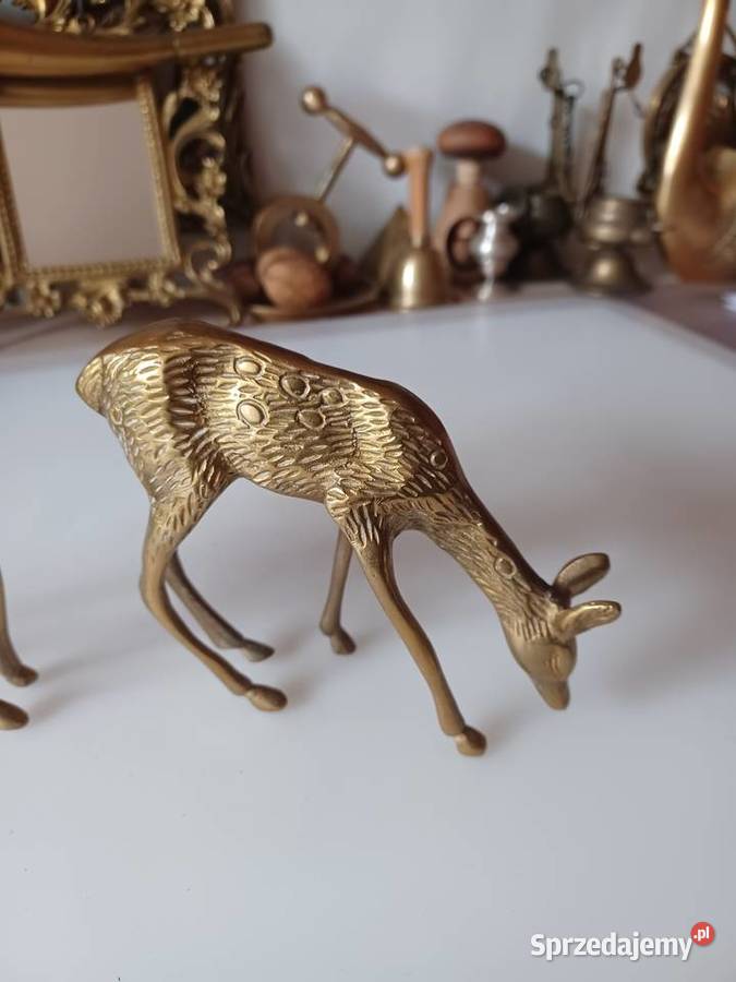 Sarenka I jelonek z mosiądzu Poznań