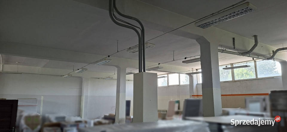 Lokal magazynowyusługowy Zagnańska 71 winda 368m2 Kielce