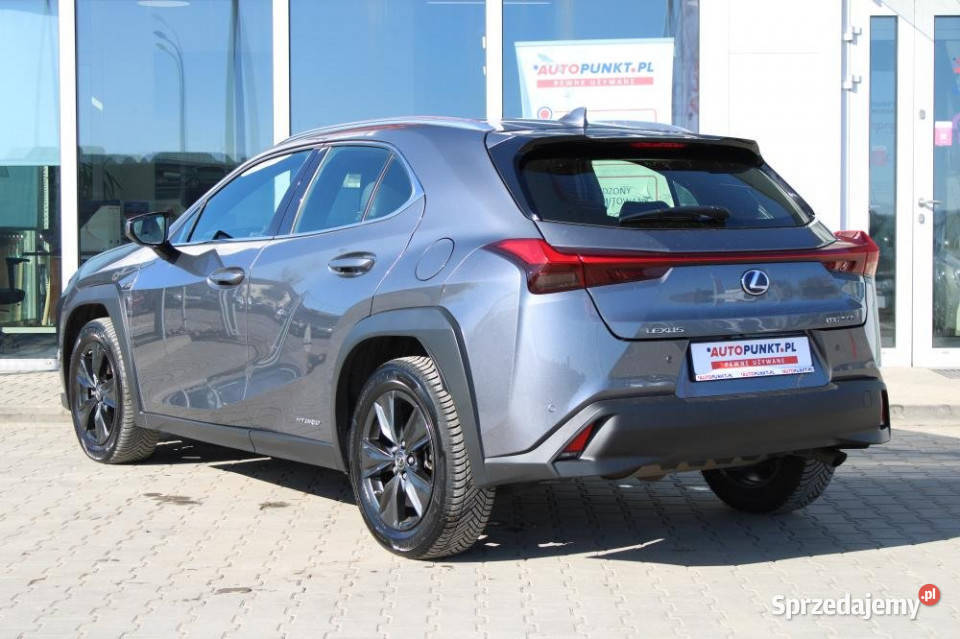 Lexus UX 2021r ACC Podgrzew Fotele Kamera Martwe pomorskie Gdańsk sprzedam