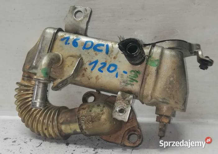 Chłodnica Spalin Renault 16 DCI 147350264R świętokrzyskie