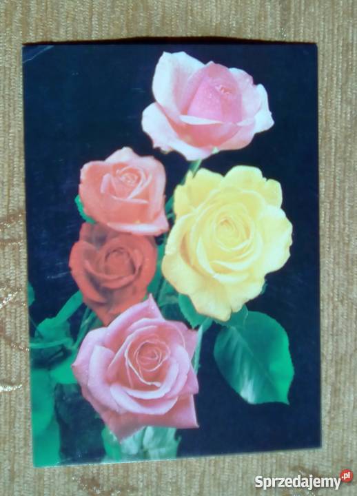 BUKIET Z KWIATÓW RÓŻY FOT SADOWSKI Piszczac